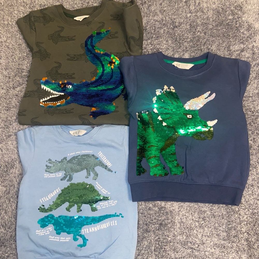 Boys Sweatshirt Bundle